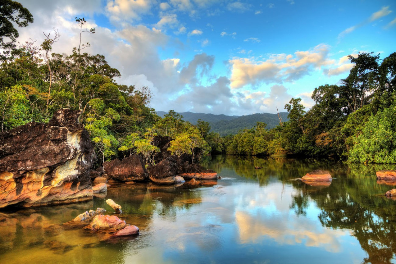 Rio Selva Tropical Parque Nacional de Masoala